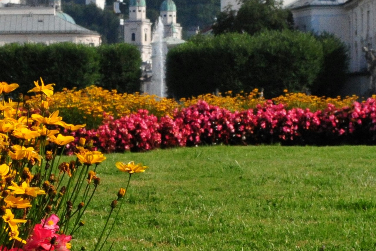 Weeding a flower bed by hand